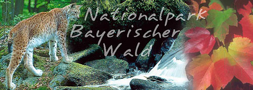 national national